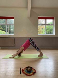 sun salutation side view 12